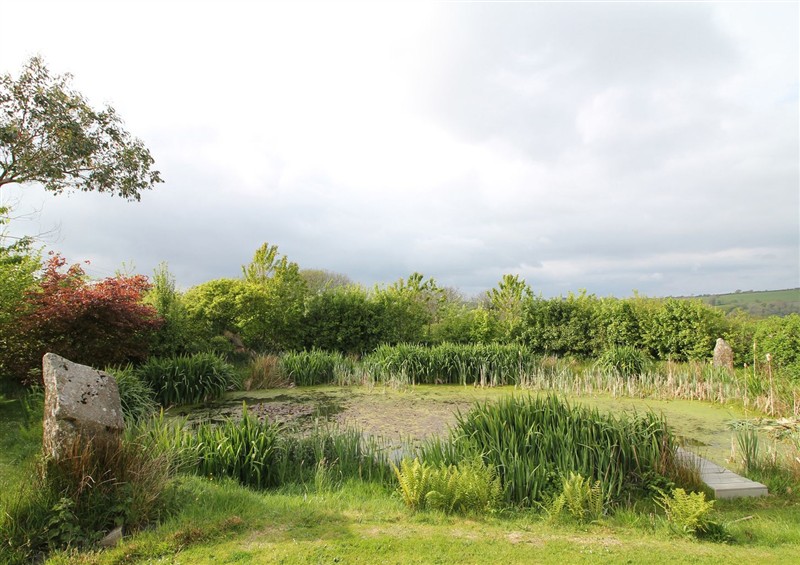 The garden in The Dovecote (photo 3) at The Dovecote, Llanychaer near Fishguard