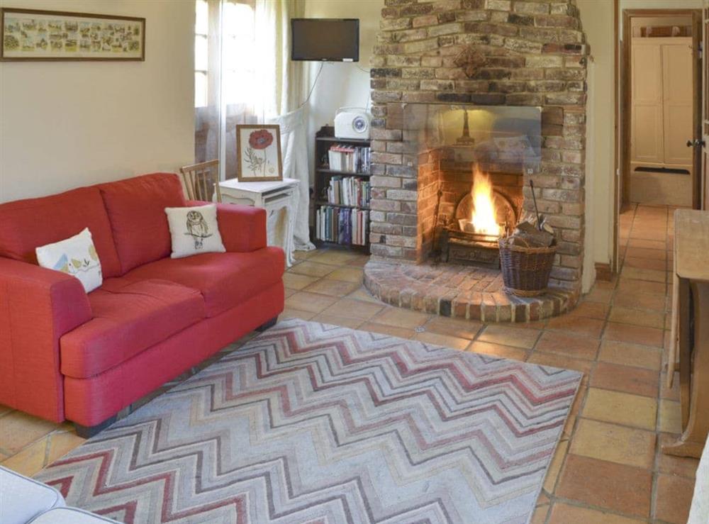 Homely living room with open-fire in feature fireplace at The Bothy, 