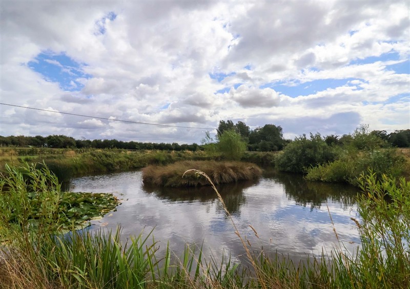 Rural landscape
