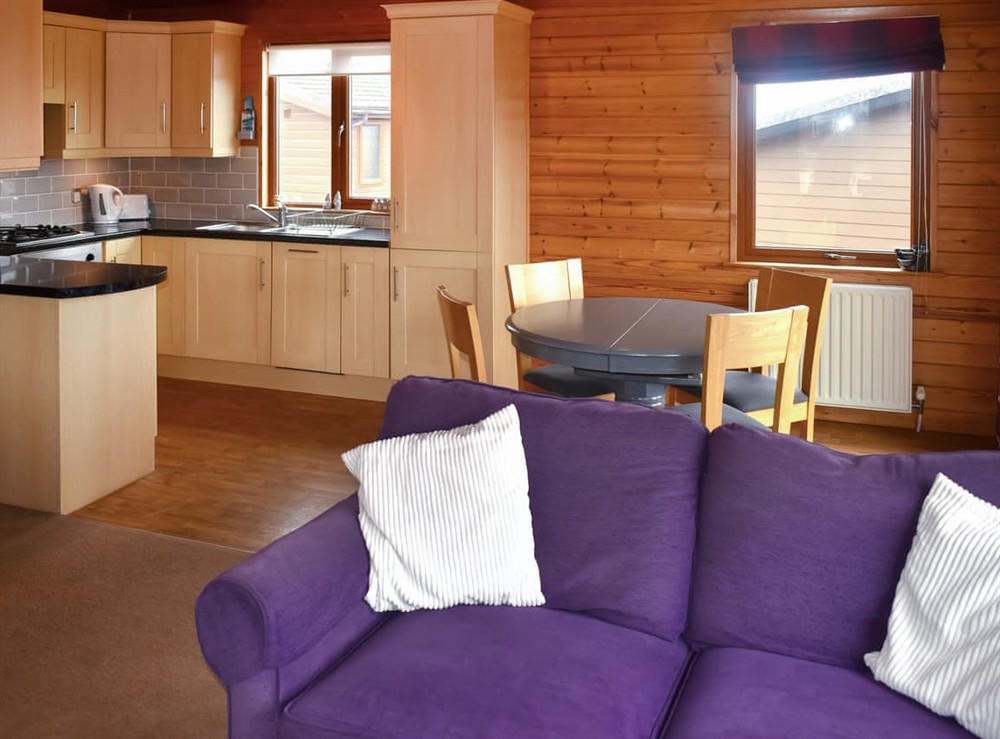 Open plan living space (photo 5) at The Dragons Den in Ilfracombe, Devon