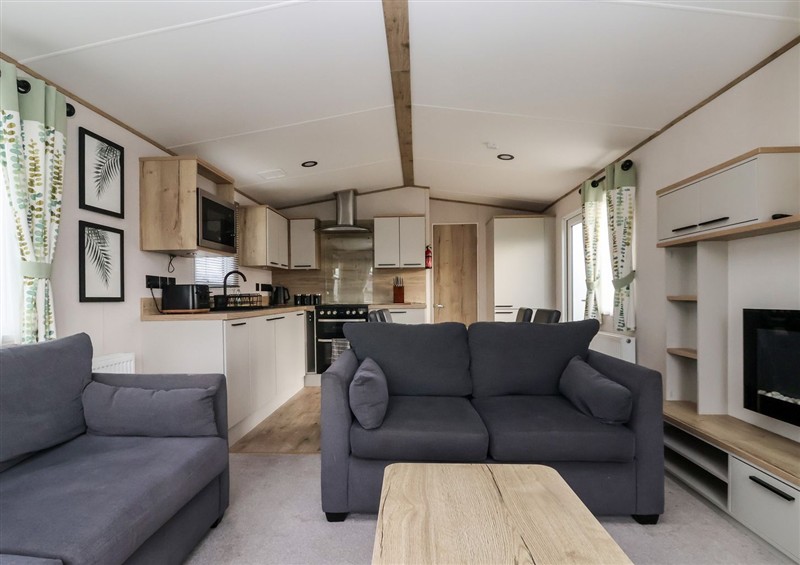 Enjoy the living room at The Driftwood, High Skirlington near Skipsea