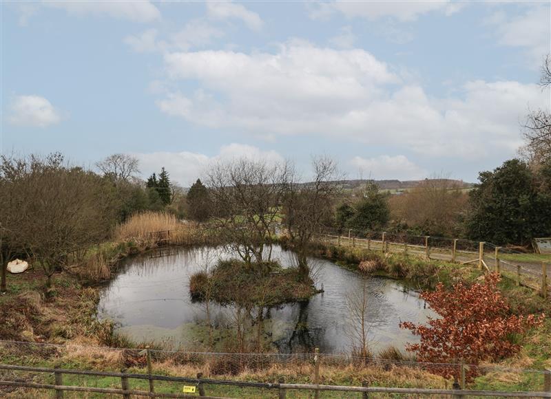 The area around The Duckhouse at The Duckhouse, Stiperstones