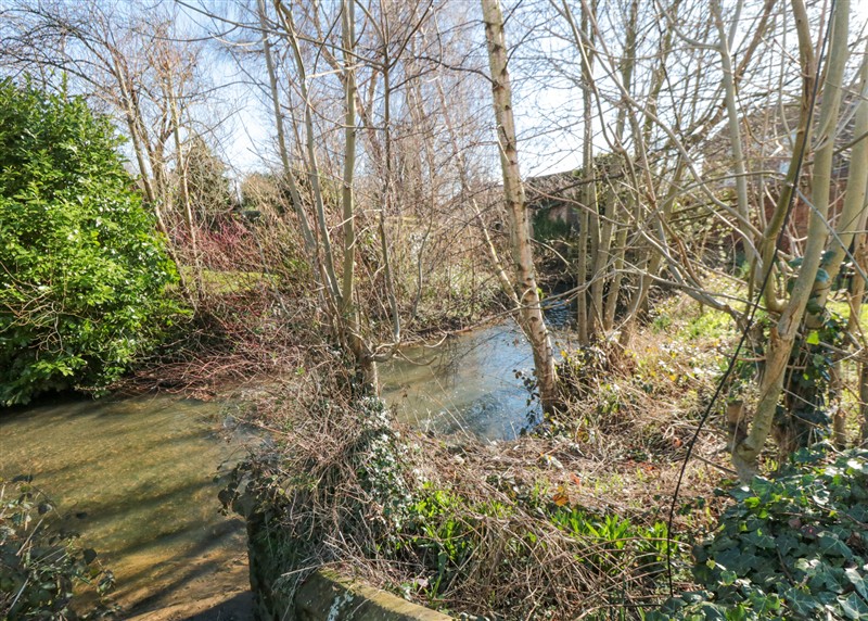 The area around The Ducklings Nest