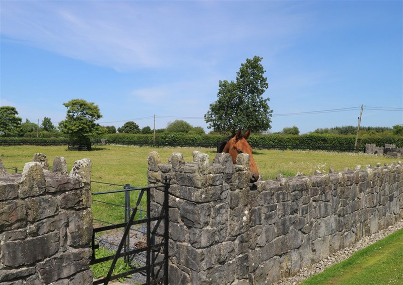 Enjoy the garden (photo 3) at The East Wing Apartment, Carrowkilleen near Claremorris