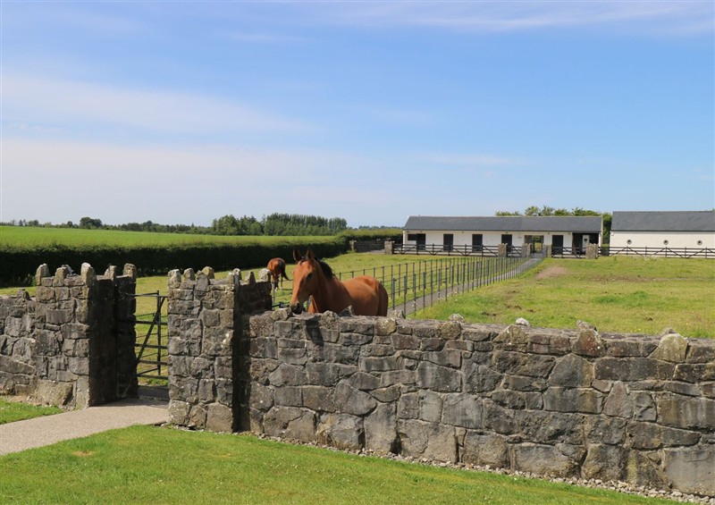 Outside (photo 2) at The East Wing Apartment, Carrowkilleen near Claremorris