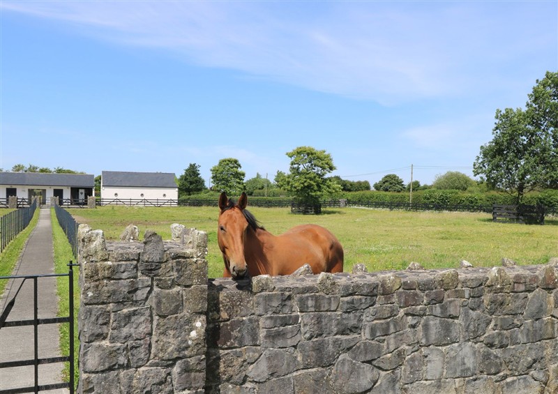 The garden in The East Wing Apartment at The East Wing Apartment, Carrowkilleen near Claremorris