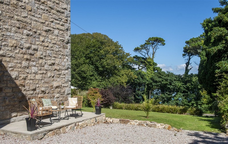 The garden at The Elms, Cornwall