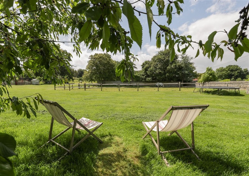 Enjoy the garden at The End, Low Ham near Langport