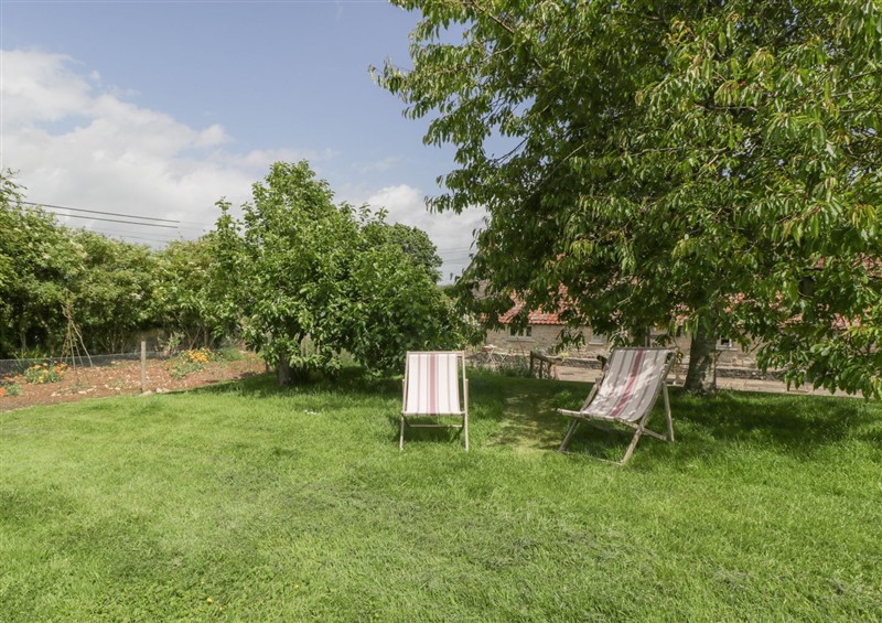 The garden in The End (photo 2) at The End, Low Ham near Langport