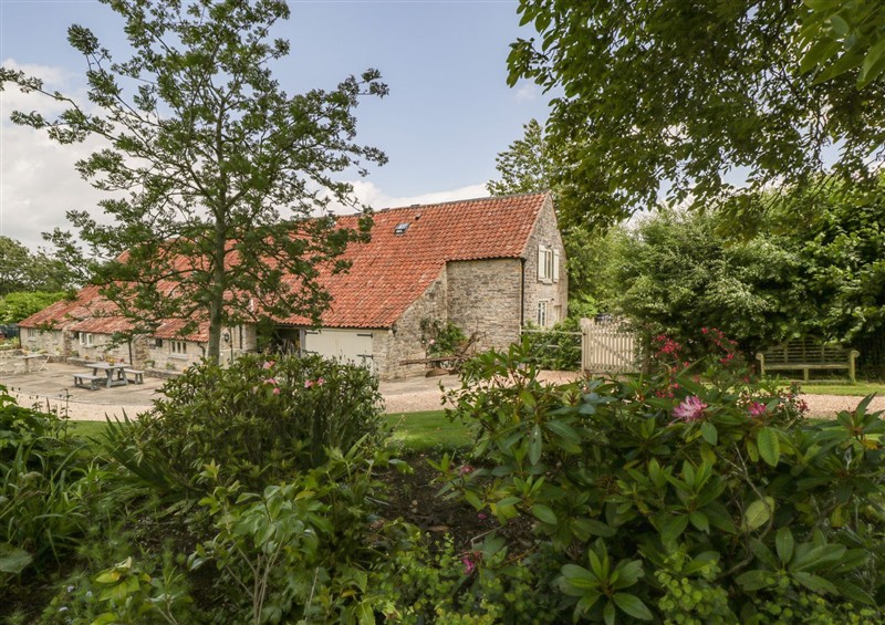 The garden in The End at The End, Low Ham near Langport