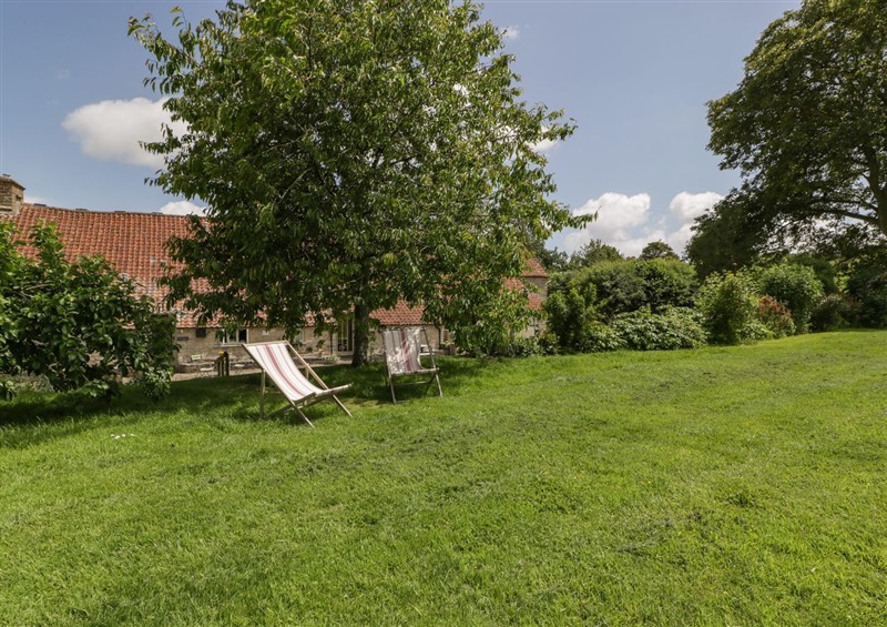 The garden at The End, Low Ham near Langport