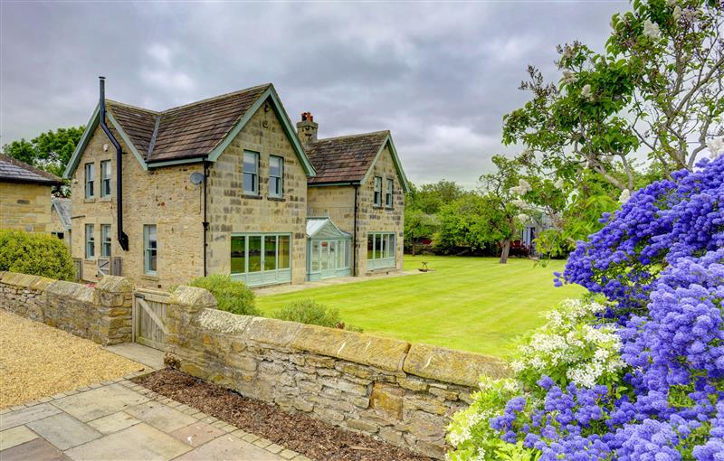 The garden at The Farm House, Aldbrough St. John near Barton