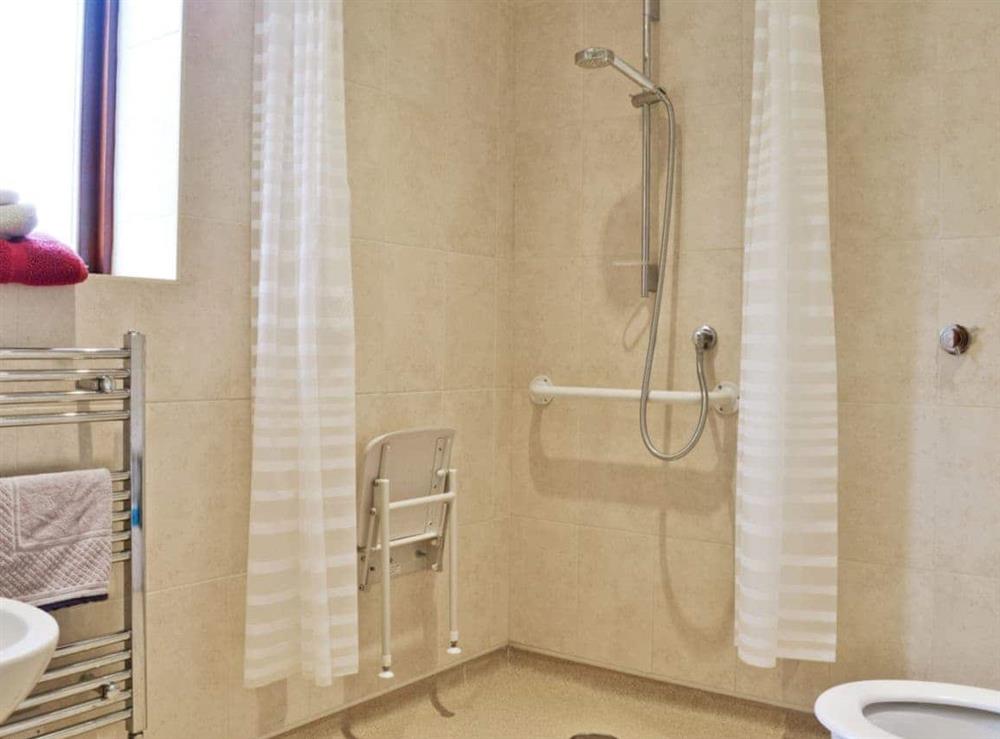 Wet room with toilet (disabled facilities)