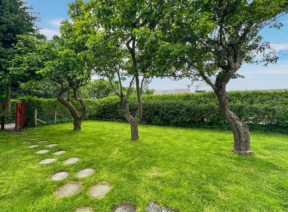 Garden at The Farmhouse in Mold and the Clwydian Range, Wales