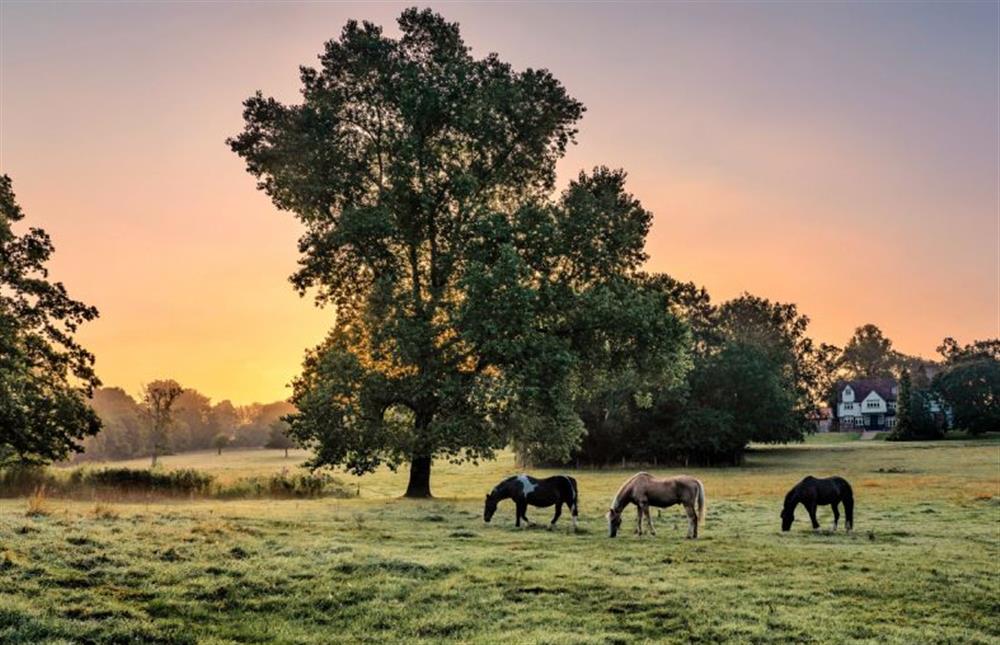 A new dawn over the farmhouse (photo 2) at The Farmhouse, Nether Hall Estate, Pakenham