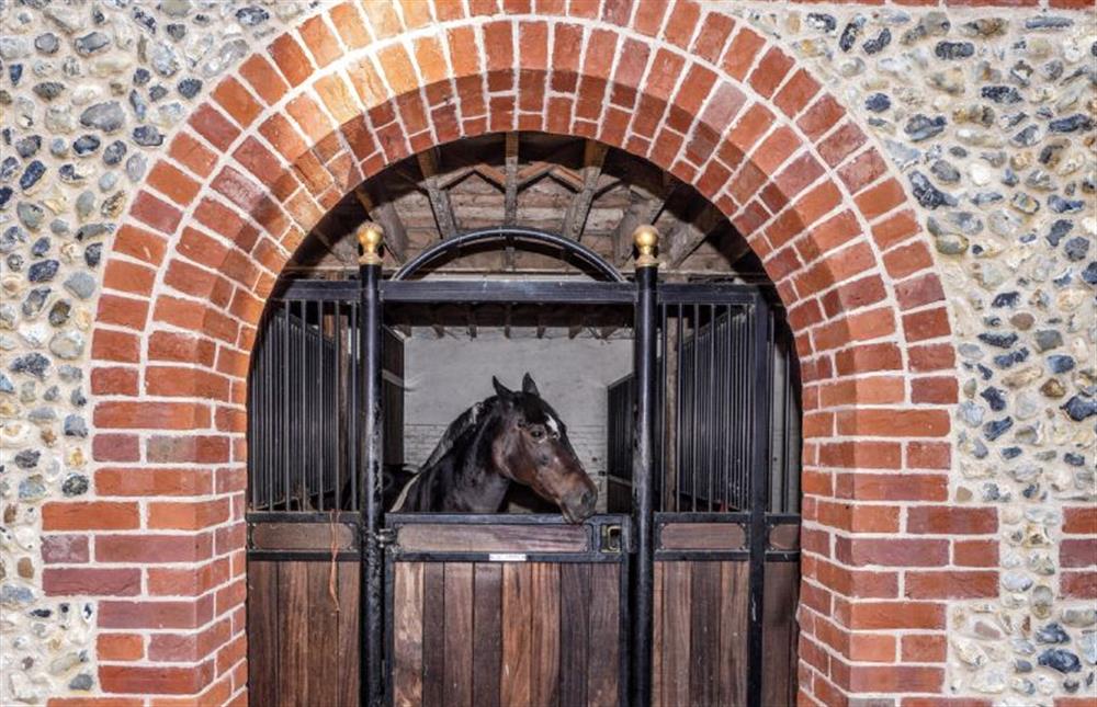 Stabling for guests’ own horses and all weather menage available by prior arrangement at The Farmhouse, Nether Hall Estate, Pakenham