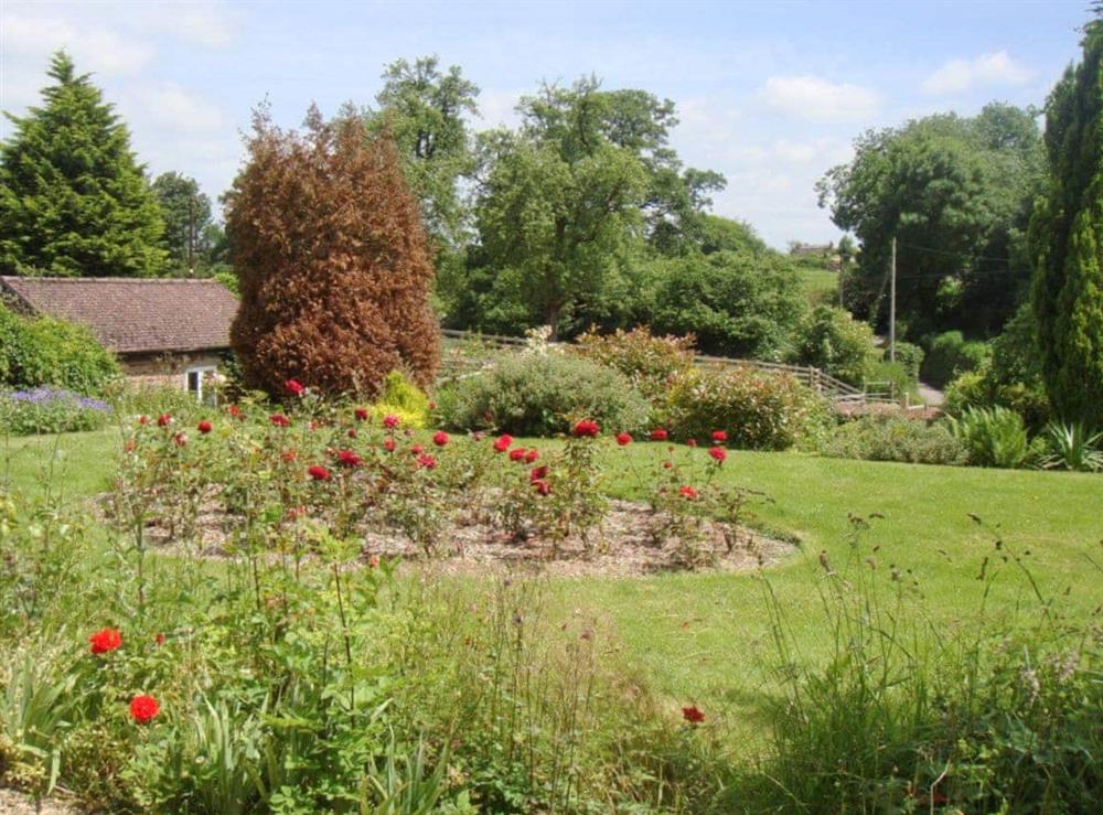 Garden at The Farmhouse in Newent, Gloucestershire