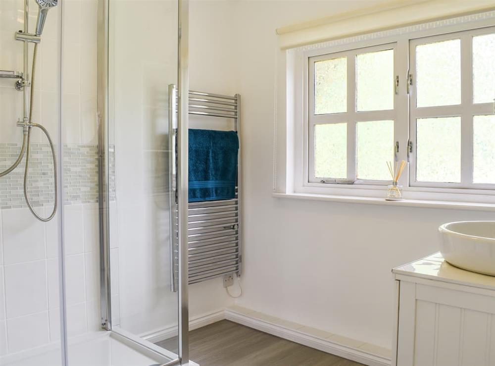 Shower room at The Firs Annexe in Bishopswood, near Chard, Somerset