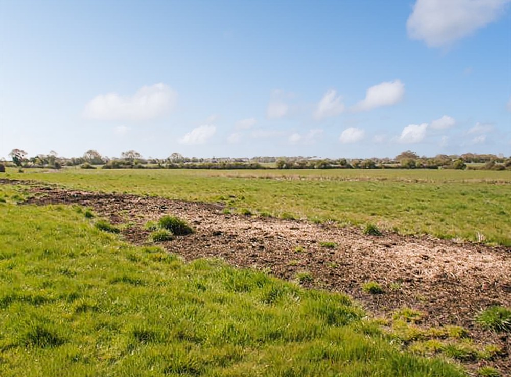 Garden and grounds (photo 3) at The Fisher Dairy in Chichester, West Sussex