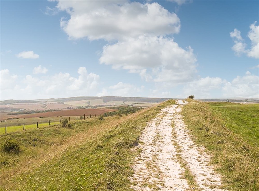 Outdoor area (photo 12) at The Fisher Dairy in Chichester, West Sussex