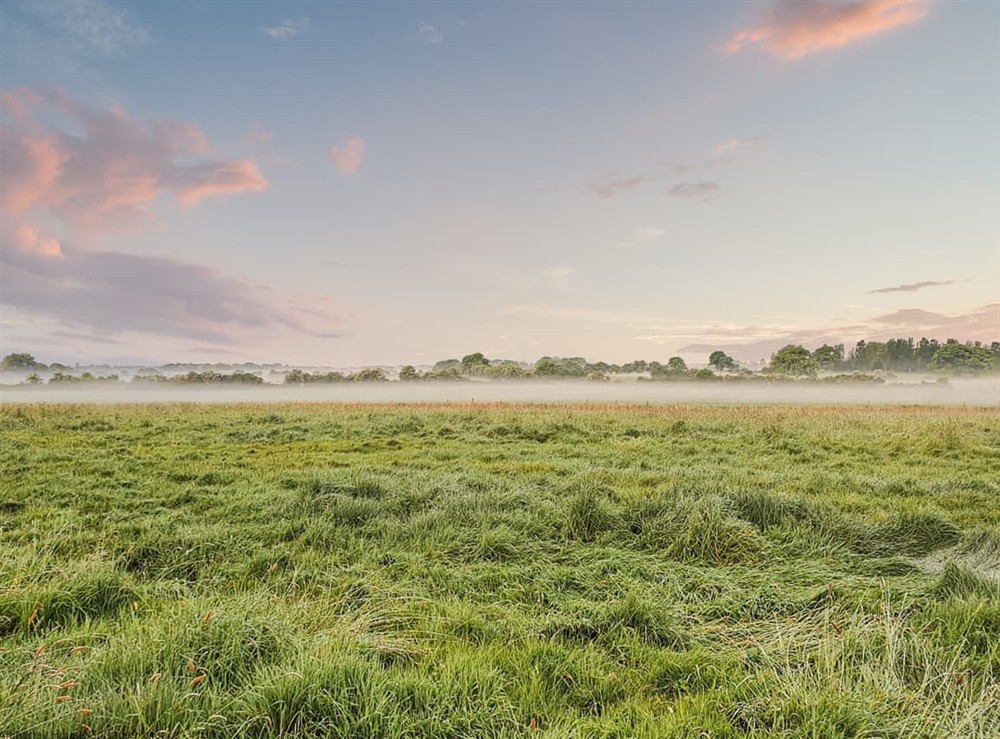 Outdoor area (photo 2) at The Fisher Dairy in Chichester, West Sussex
