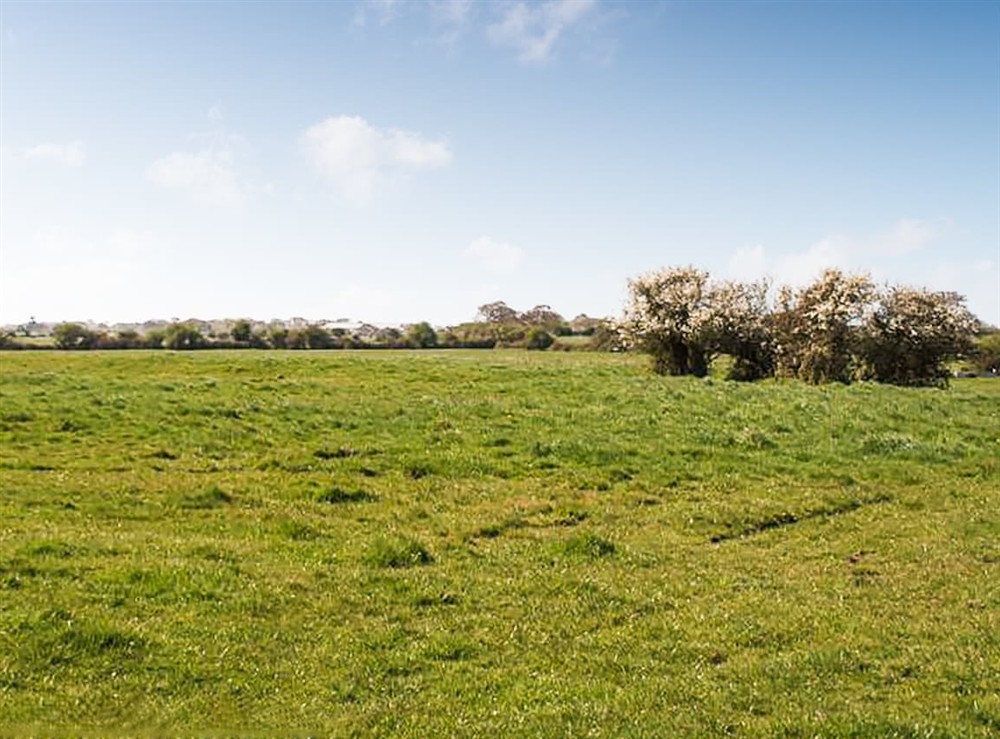 Outdoor area (photo 5) at The Fisher Dairy in Chichester, West Sussex