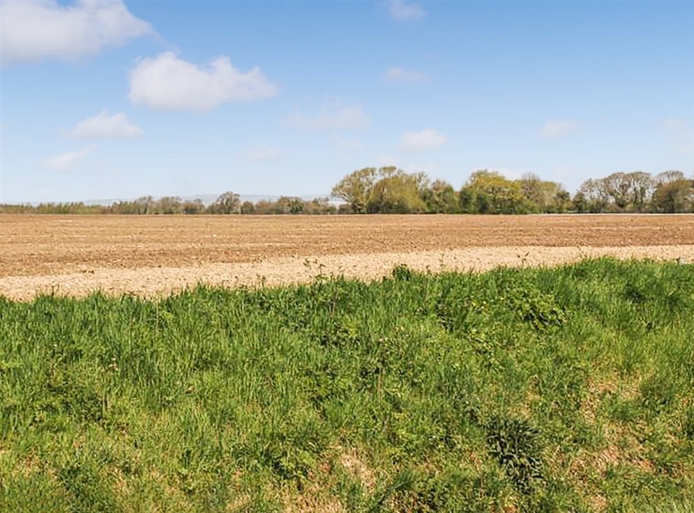 Outdoor area (photo 6) at The Fisher Dairy in Chichester, West Sussex