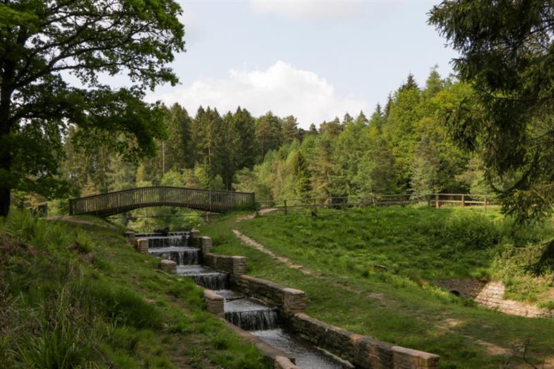 The setting around The Forest Coach House