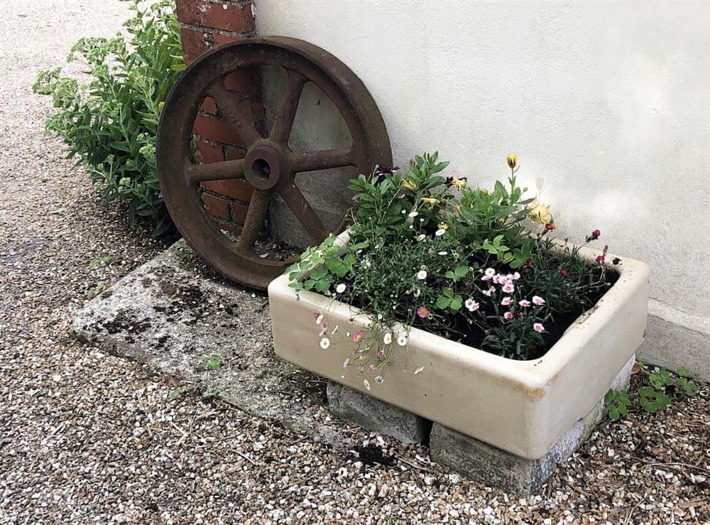Attractive feature planting at The Forge in Thorncombe, near Broadwindsor, Dorset