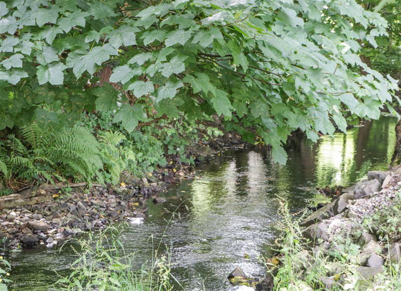 The area around The Fountain Lodge