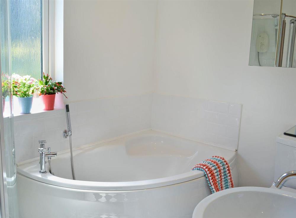 Bathroom with large separate shower cubicle at The Gallery in Port Mellon, near Mevagissey, Cornwall