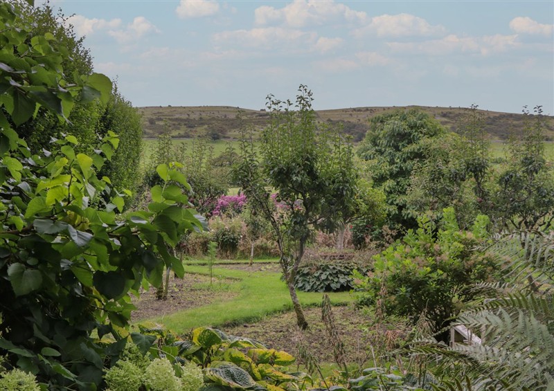 Enjoy the garden (photo 2) at The Gameskeepers Cottage, Cartmel