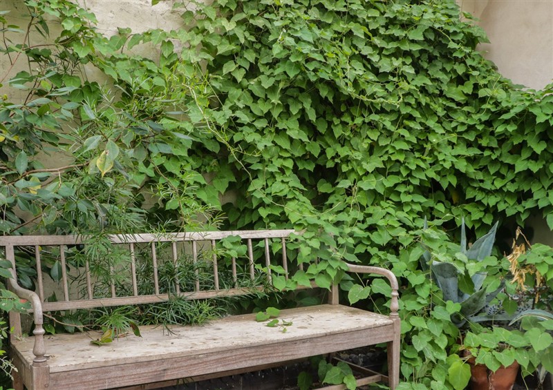 Enjoy the garden (photo 3) at The Gameskeepers Cottage, Cartmel