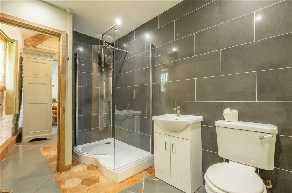 Family shower room with walk-in shower, wash basin and WC at The Garden Barn, Peterchurch