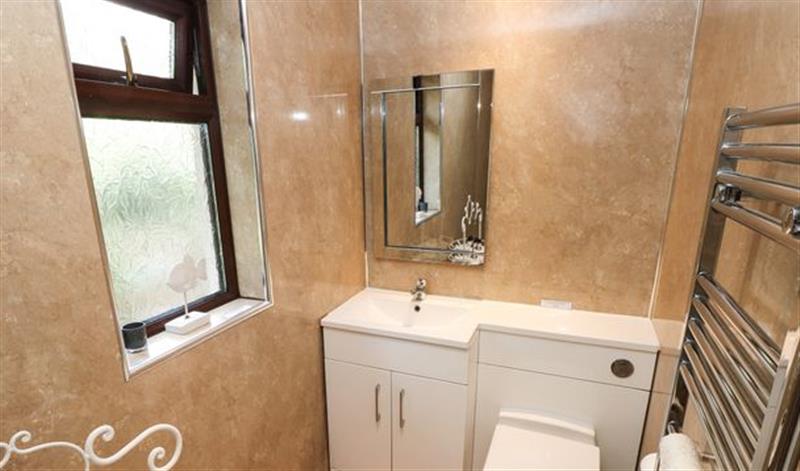 This is the bathroom at The Garden Flat, South Wales & Pembrokeshire