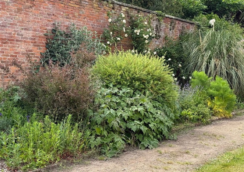 The garden (photo 2) at The Garden Hut, Wrexham