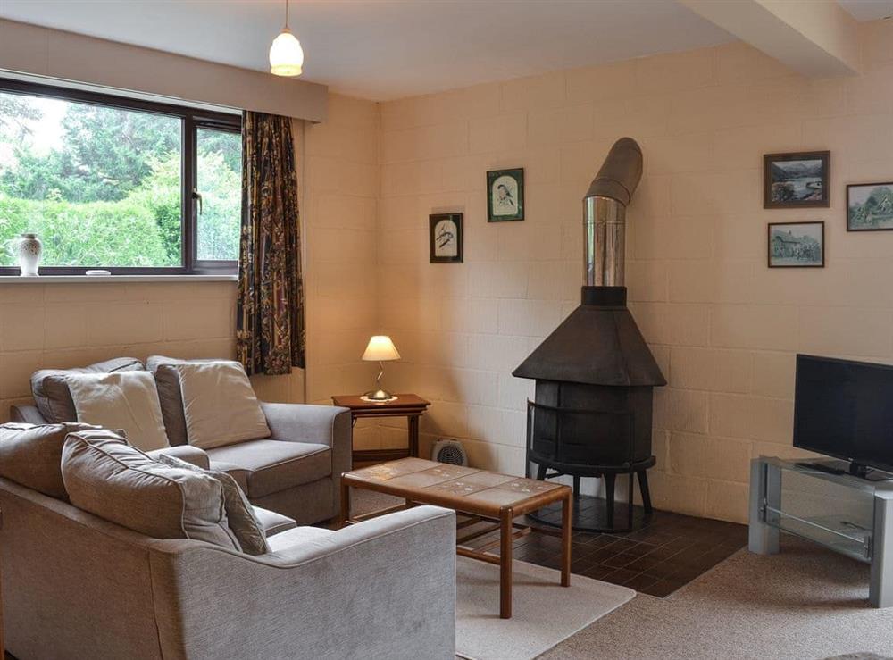 Living room with wood burner at The Garden Lodge in Broadhembury, near Honiton, Devon
