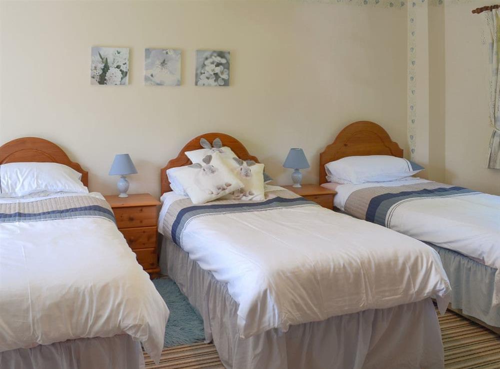 Good sized triple bedroom at The Garden Room in Marldon, near Paignton, Devon