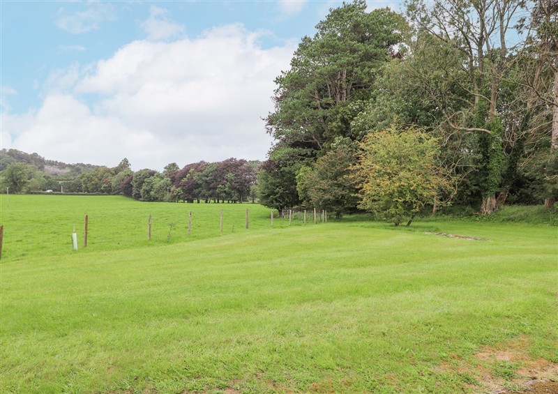 The garden at The Gatehouse, Levens