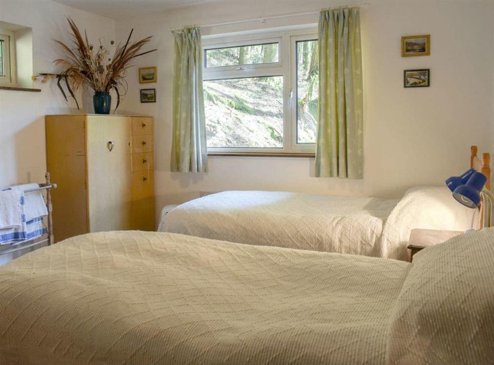 Comfy twin bedroom at The Glen in Pontrhydygroes, Devils Bridge, Dyfed
