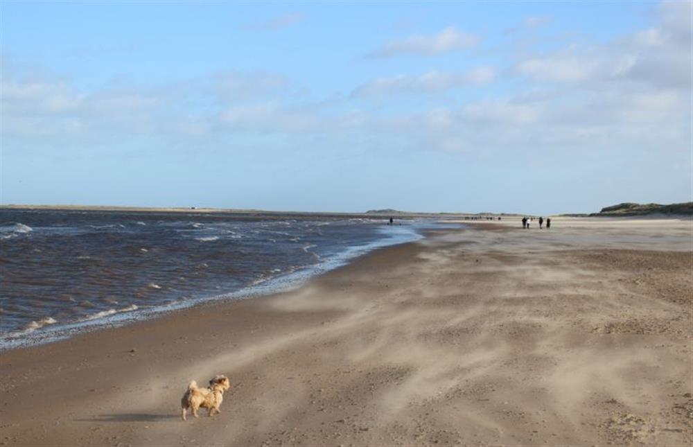 Happy dog days at nearby Brancaster beach at The Goosebec, Burnham Market near Kings Lynn