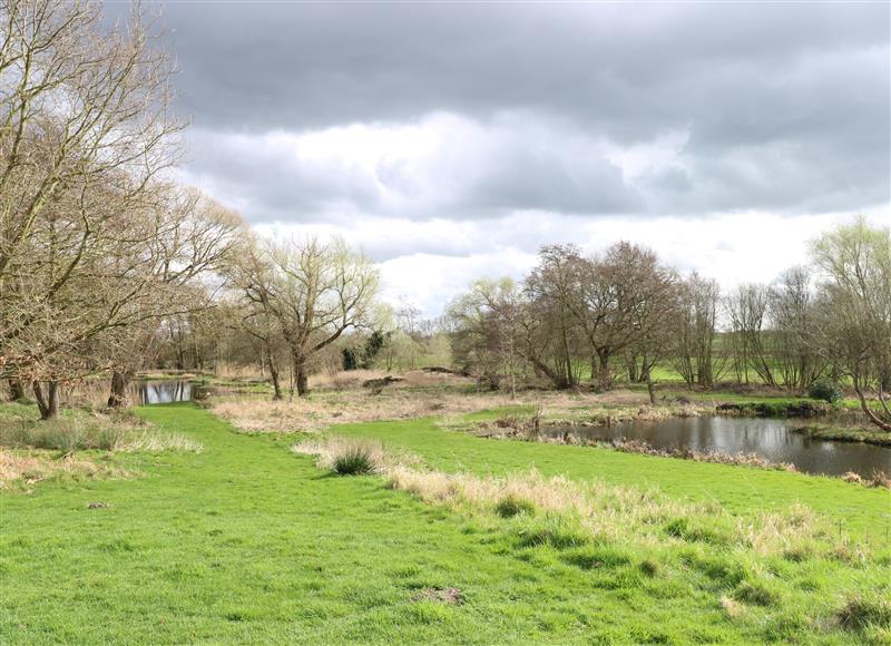 Rural landscape