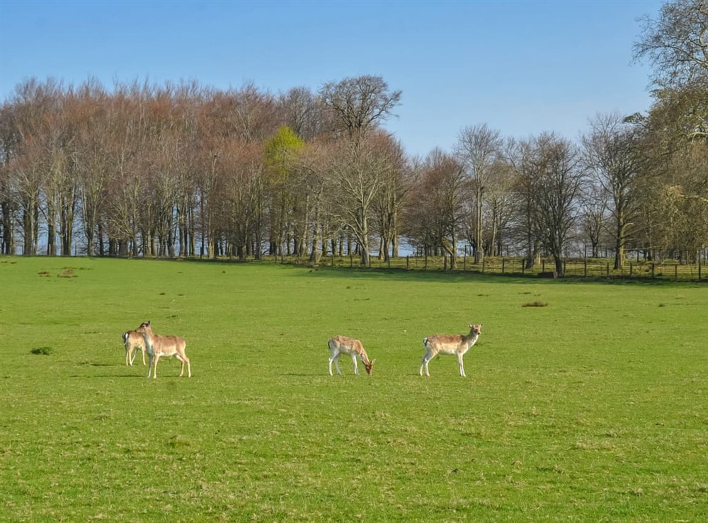 Outdoor area (photo 11) at The Granary at Gay Street Farm in Pulborough, West Sussex