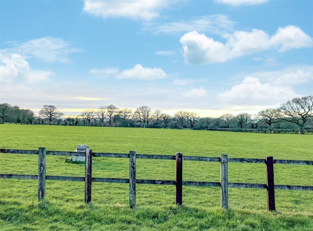Outdoor area (photo 5) at The Granary at Gay Street Farm in Pulborough, West Sussex