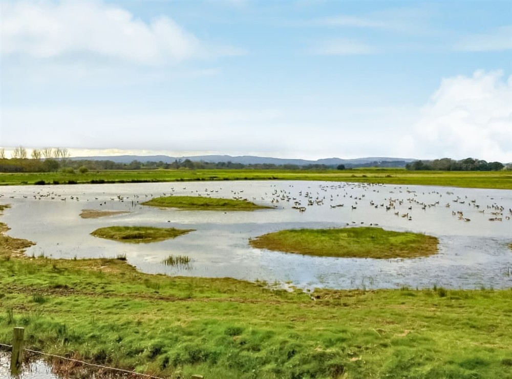 Outdoor area (photo 8) at The Granary at Gay Street Farm in Pulborough, West Sussex