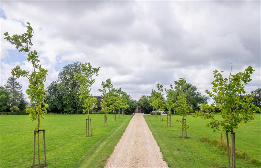 Tree-lined driveway to The Granary and Saint Francis Cottage