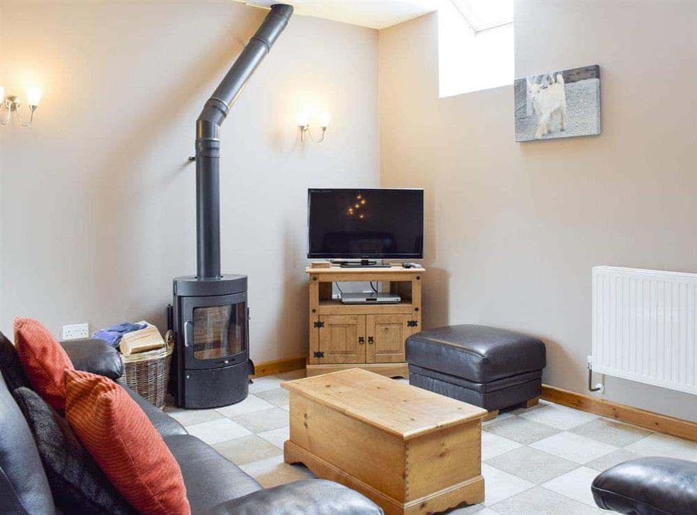 Welcoming living room with modern wood burner at The Granary  in Glynarthen, Nr Cardigan., Dyfed