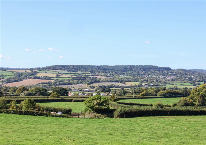 This is the garden at The Granary, Wyke Nr Axminster
