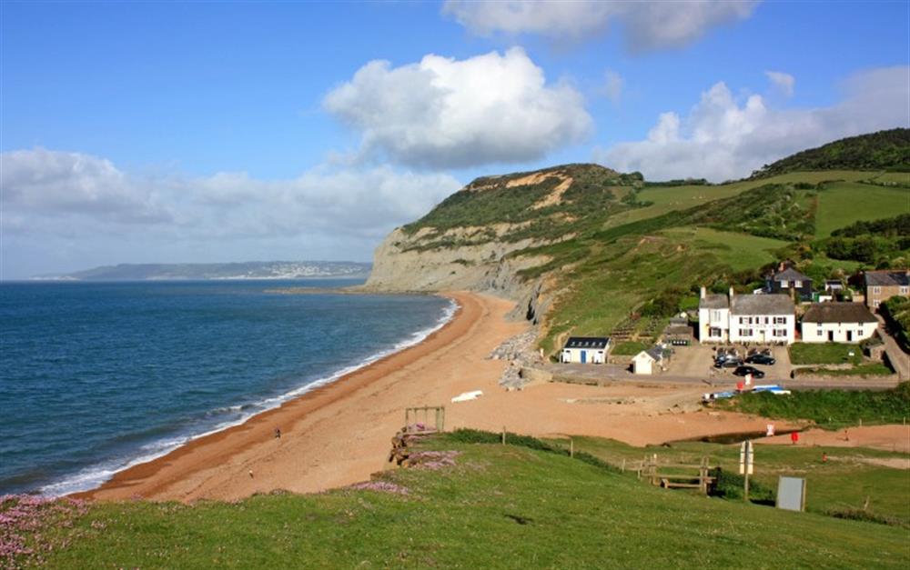 The area around The Grange at The Grange in Charmouth