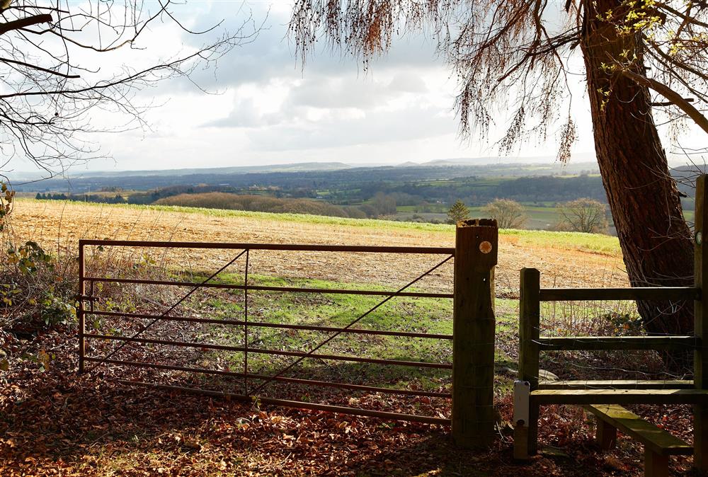 A five minute walk takes you into stunning Wapley Hill Wood